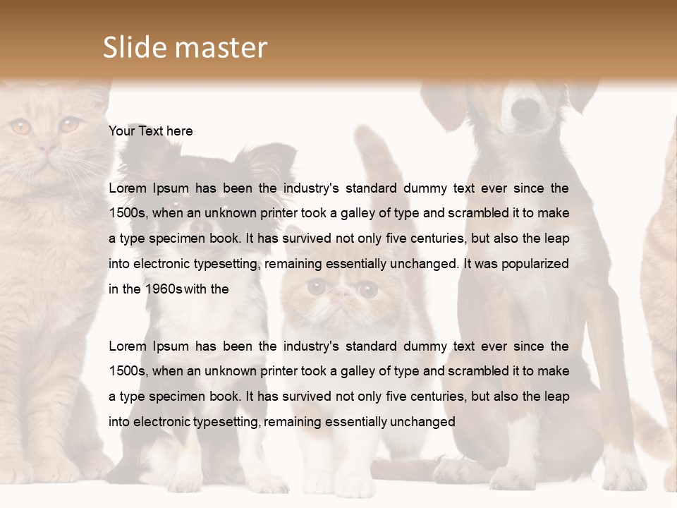 Conditioner Switch White PowerPoint Template