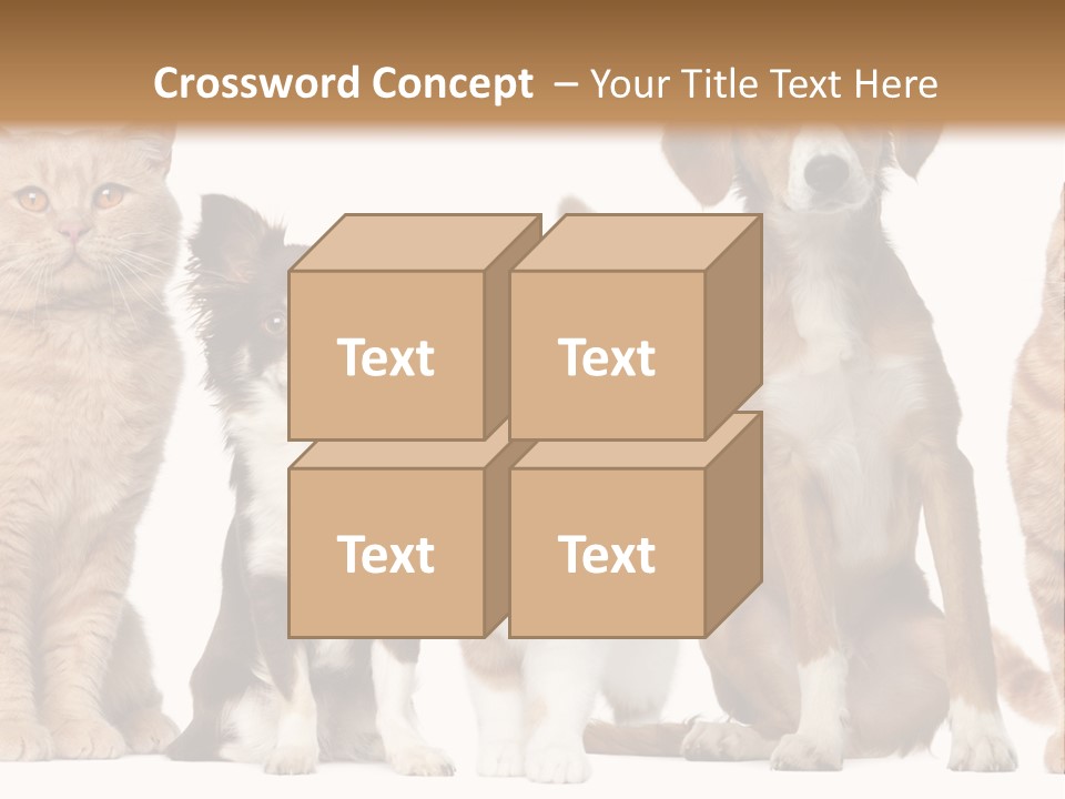 Conditioner Switch White PowerPoint Template