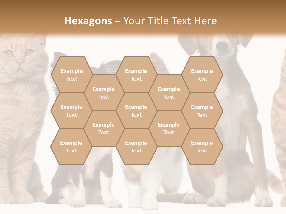Conditioner Switch White PowerPoint Template