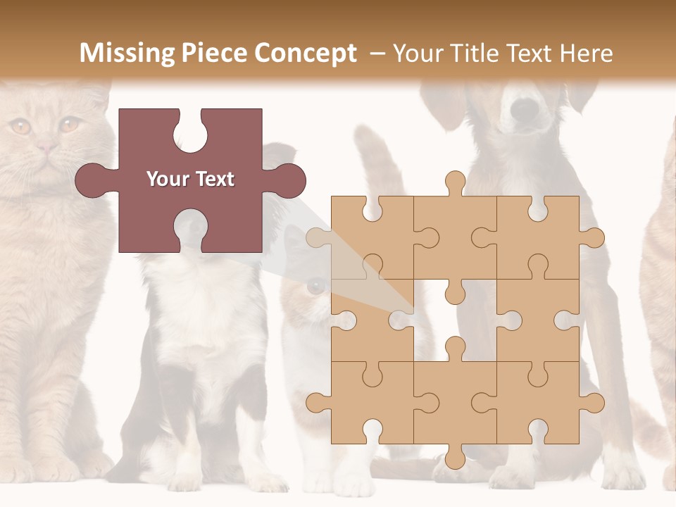 Conditioner Switch White PowerPoint Template