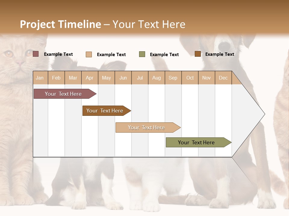 Conditioner Switch White PowerPoint Template