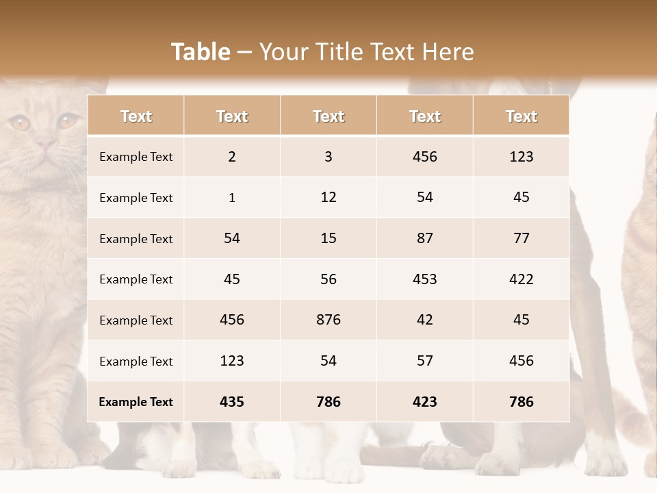 Conditioner Switch White PowerPoint Template