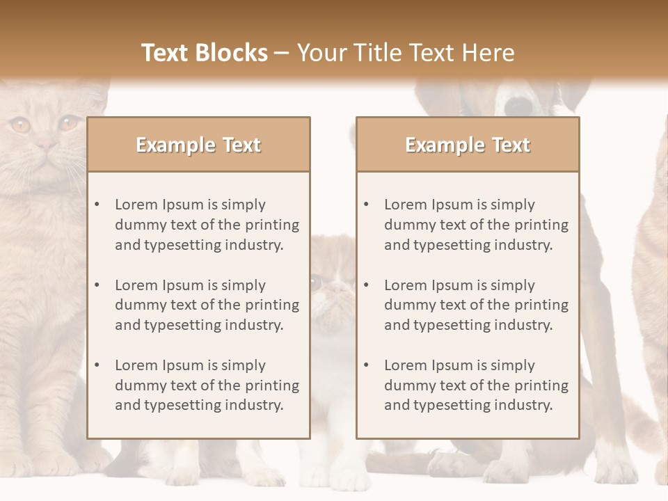 Conditioner Switch White PowerPoint Template