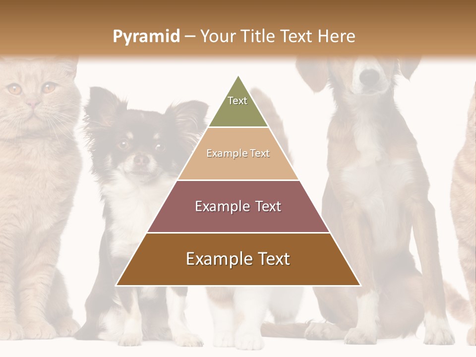 Conditioner Switch White PowerPoint Template