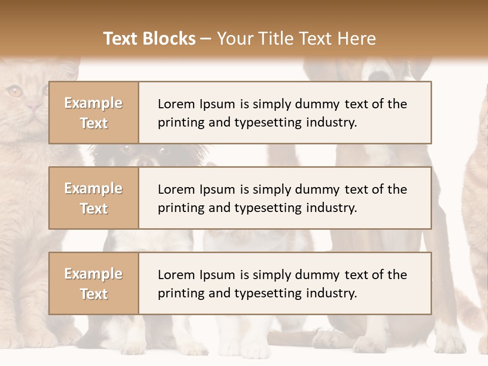 Conditioner Switch White PowerPoint Template