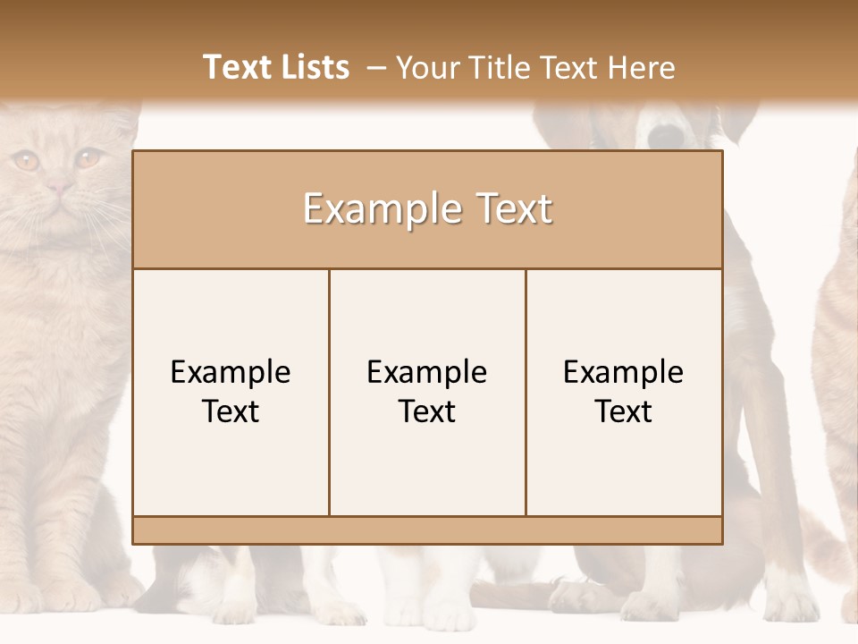 Conditioner Switch White PowerPoint Template