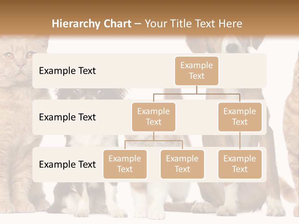 Conditioner Switch White PowerPoint Template