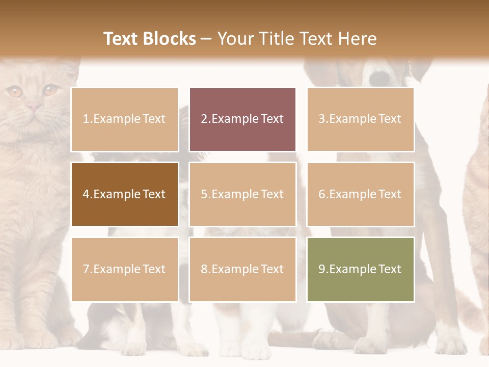 Conditioner Switch White PowerPoint Template