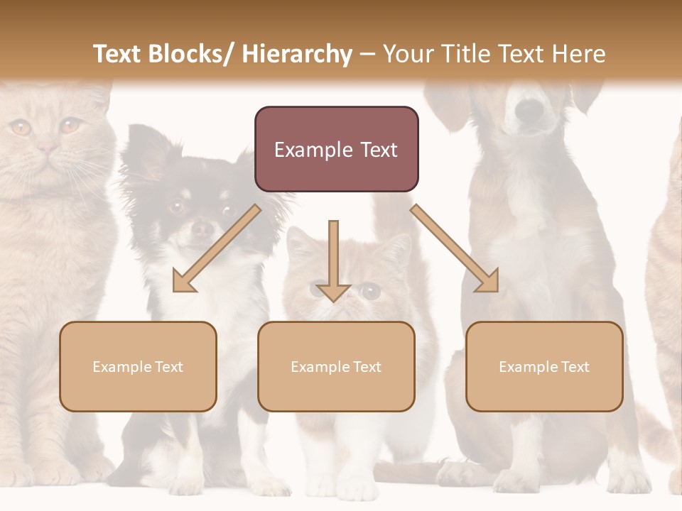 Conditioner Switch White PowerPoint Template