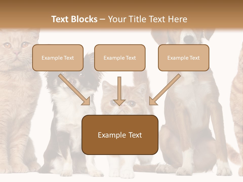 Conditioner Switch White PowerPoint Template