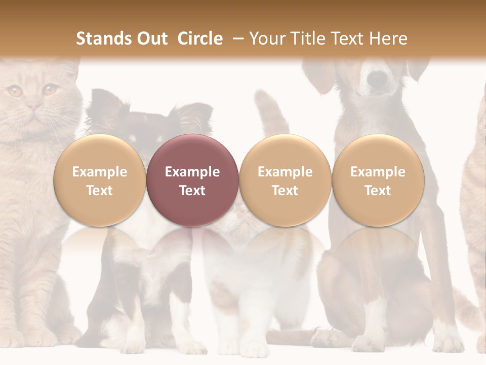 Conditioner Switch White PowerPoint Template