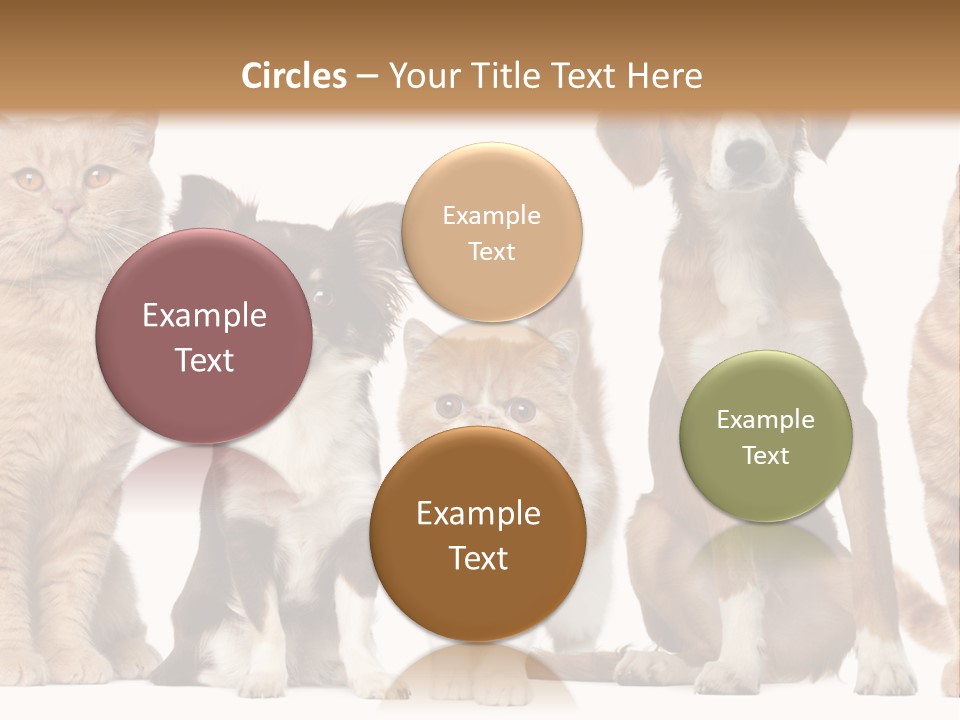 Conditioner Switch White PowerPoint Template