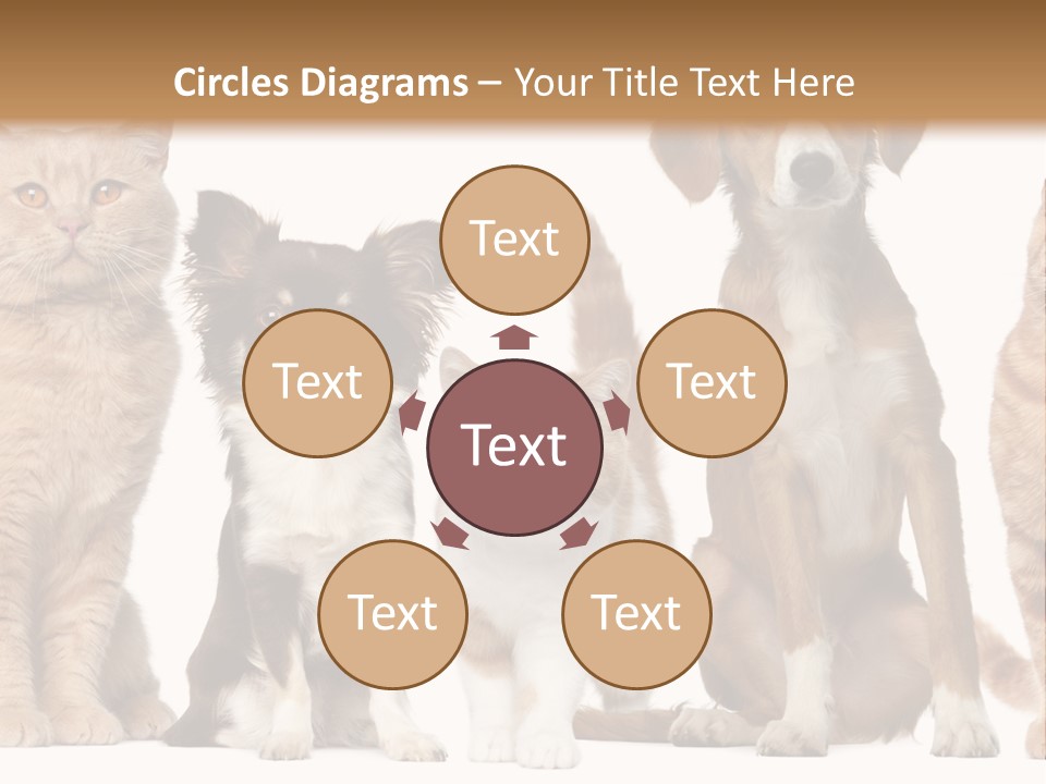 Conditioner Switch White PowerPoint Template