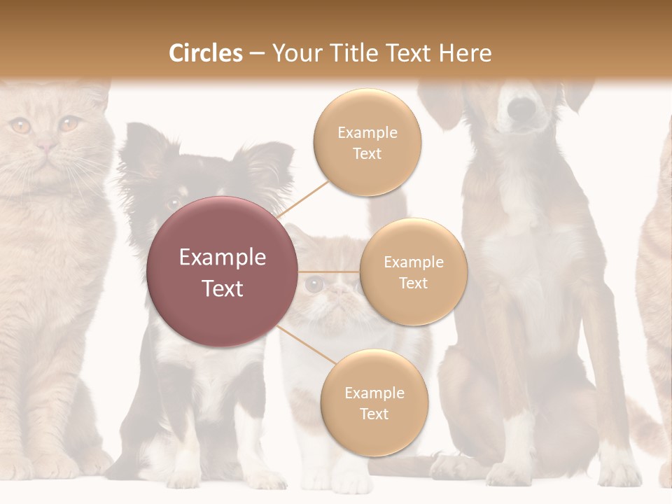 Conditioner Switch White PowerPoint Template