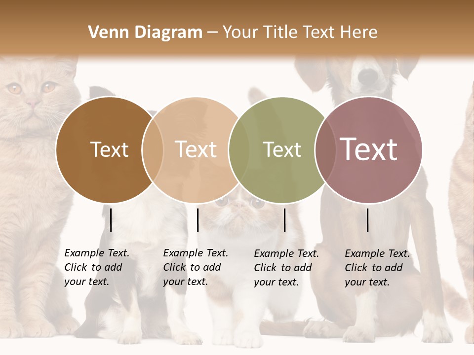 Conditioner Switch White PowerPoint Template