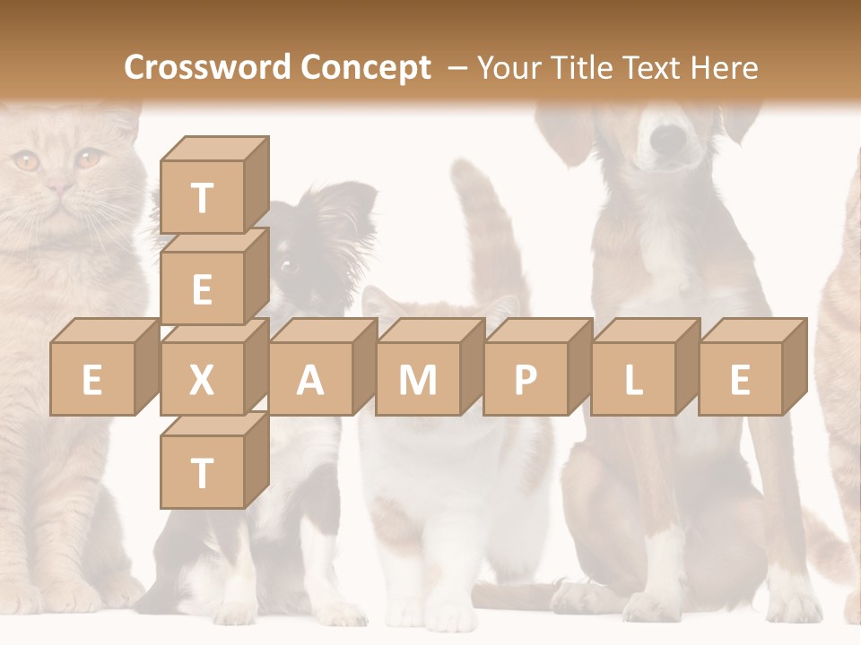 Conditioner Switch White PowerPoint Template
