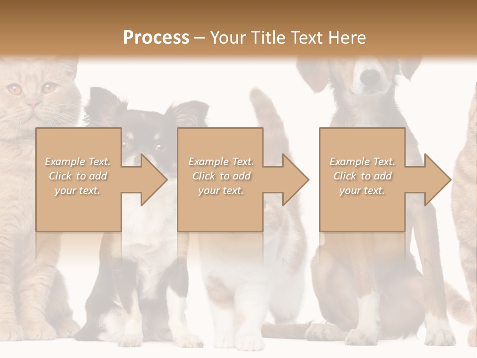 Conditioner Switch White PowerPoint Template