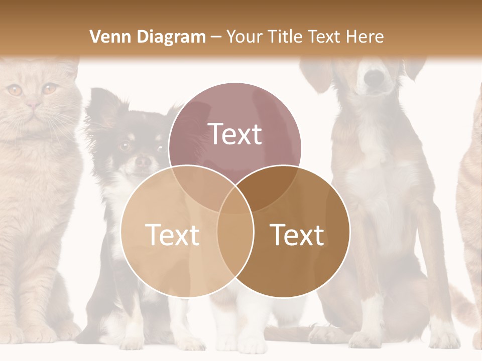 Conditioner Switch White PowerPoint Template