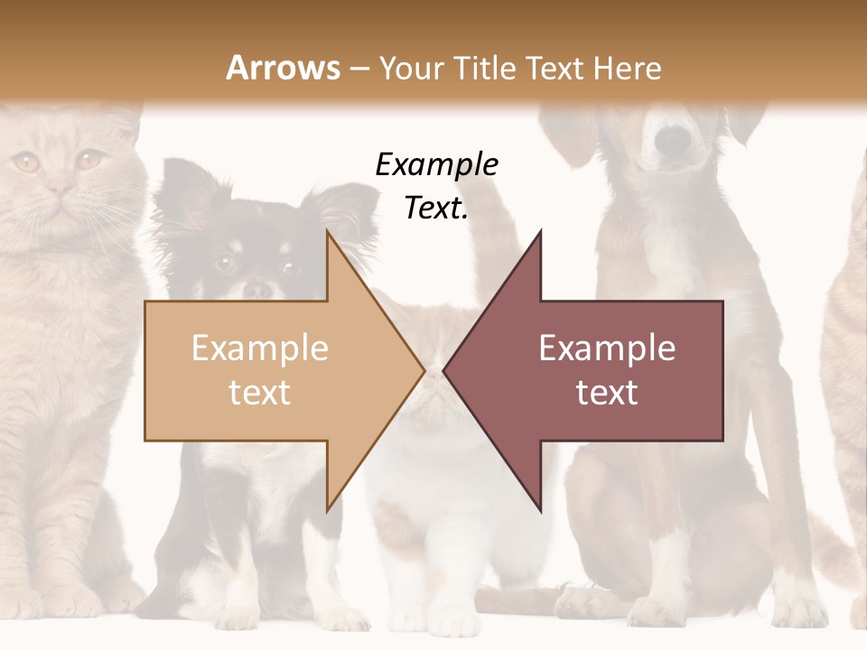 Conditioner Switch White PowerPoint Template
