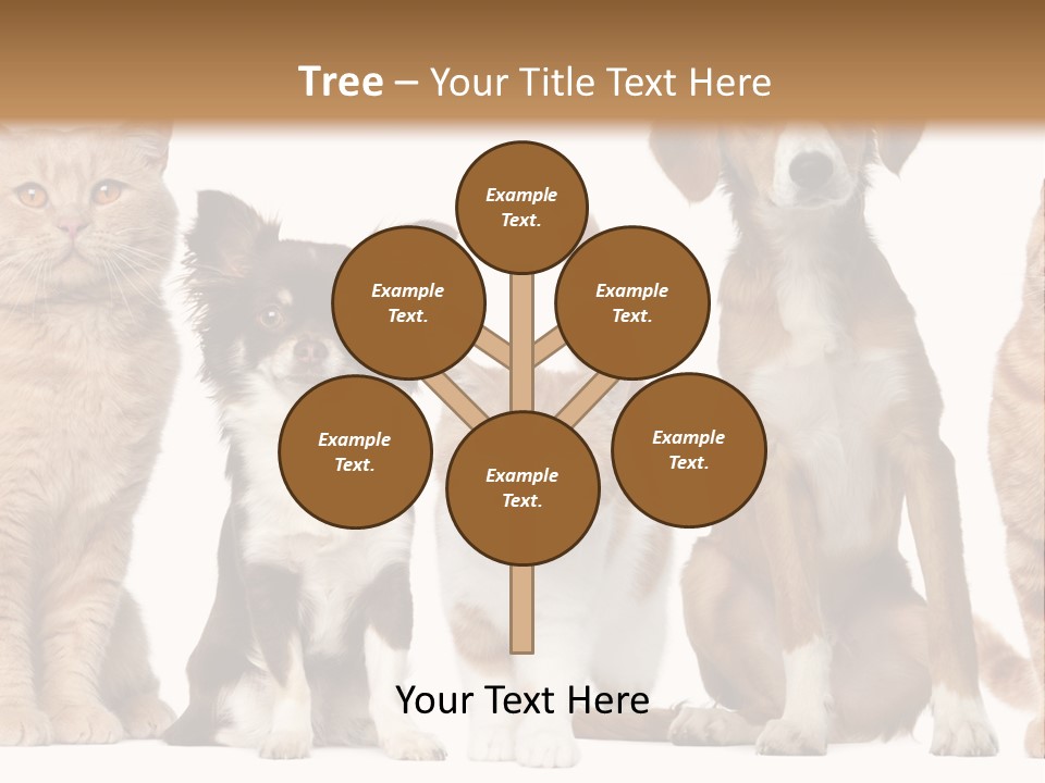 Conditioner Switch White PowerPoint Template