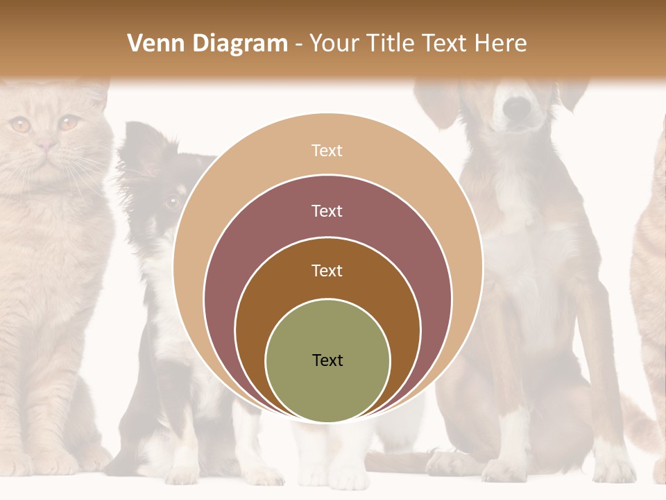 Conditioner Switch White PowerPoint Template