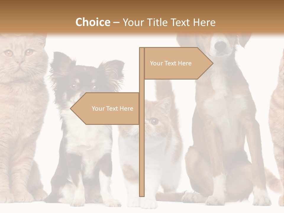Conditioner Switch White PowerPoint Template