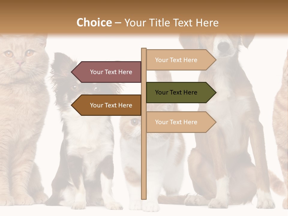 Conditioner Switch White PowerPoint Template