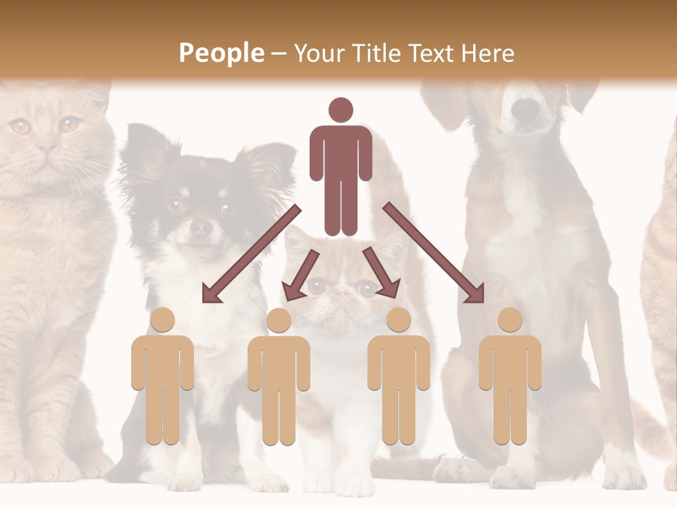 Conditioner Switch White PowerPoint Template