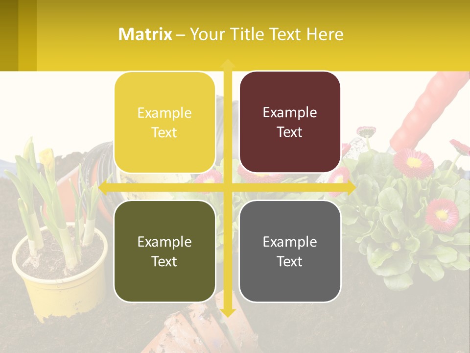 Switch Cool Remote PowerPoint Template