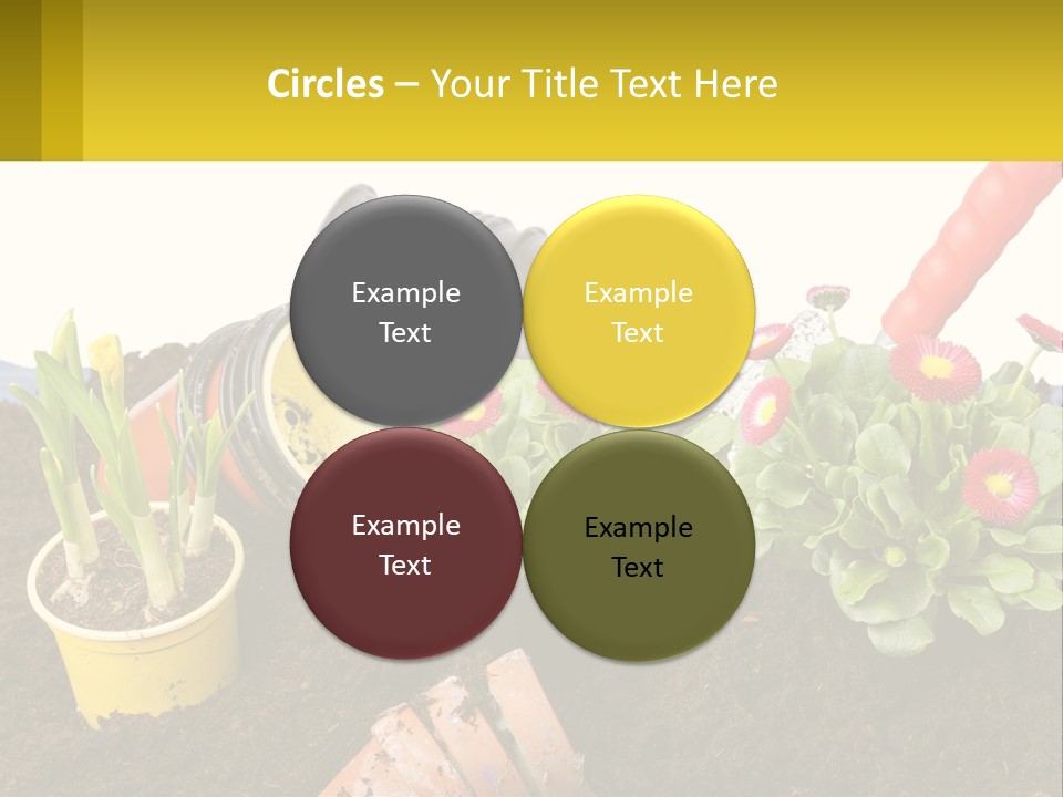 Switch Cool Remote PowerPoint Template
