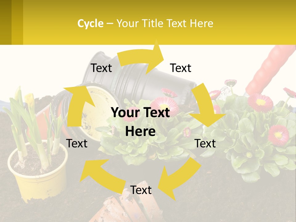 Switch Cool Remote PowerPoint Template