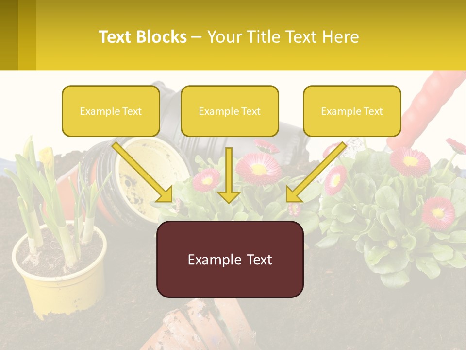 Switch Cool Remote PowerPoint Template