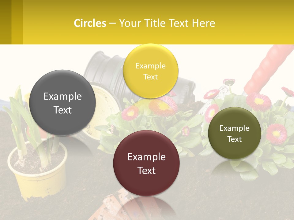 Switch Cool Remote PowerPoint Template