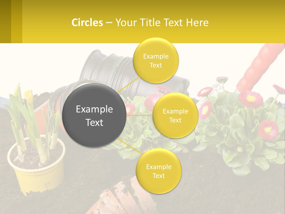 Switch Cool Remote PowerPoint Template