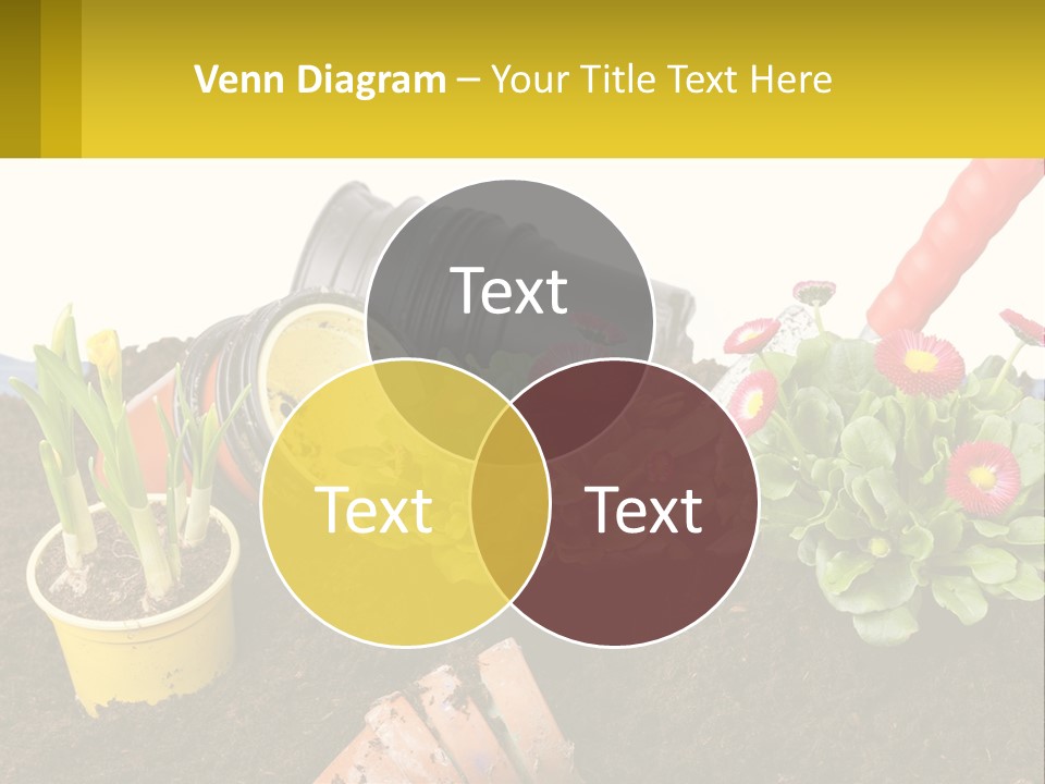 Switch Cool Remote PowerPoint Template