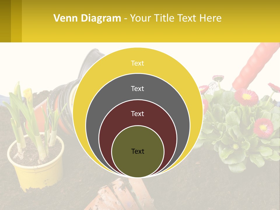 Switch Cool Remote PowerPoint Template