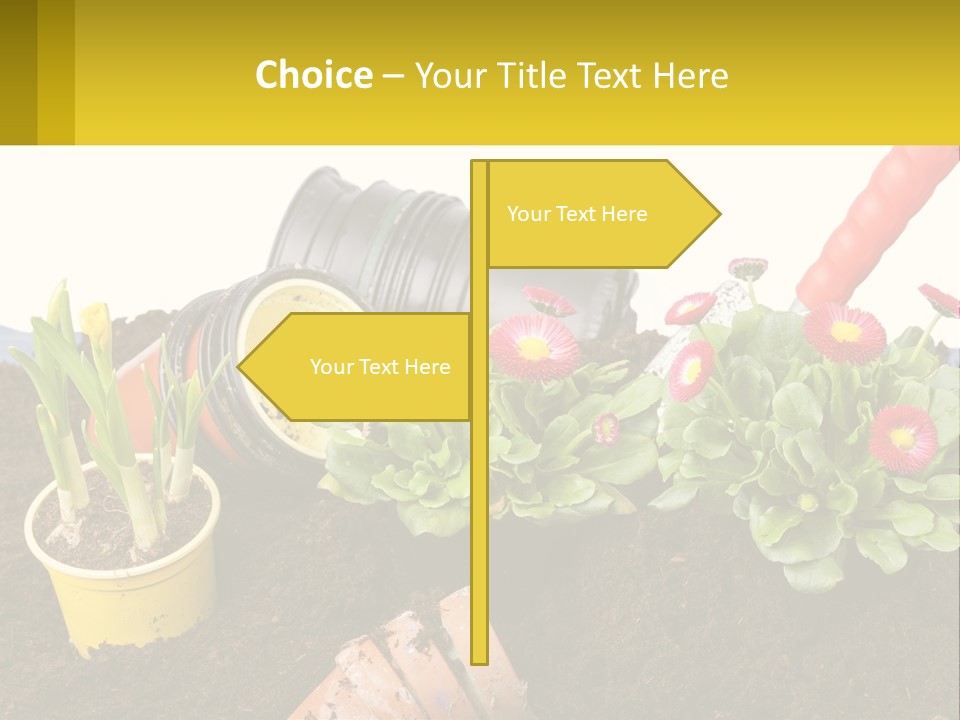 Switch Cool Remote PowerPoint Template