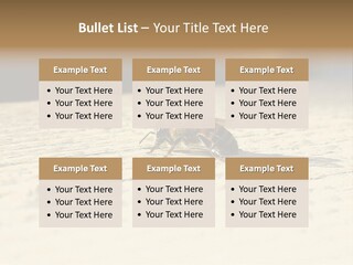 Equipment Industry Part PowerPoint Template
