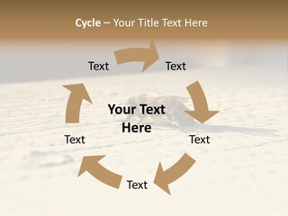 Equipment Industry Part PowerPoint Template