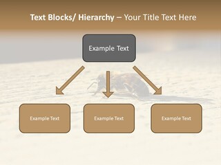 Equipment Industry Part PowerPoint Template