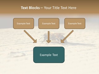 Equipment Industry Part PowerPoint Template
