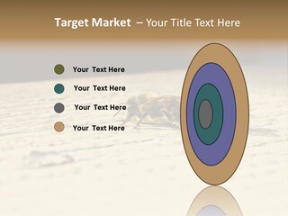 Equipment Industry Part PowerPoint Template