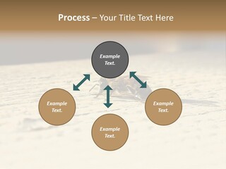 Equipment Industry Part PowerPoint Template