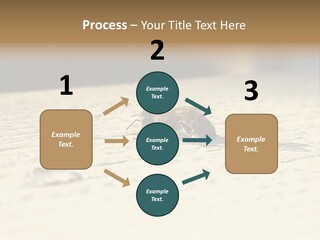 Equipment Industry Part PowerPoint Template