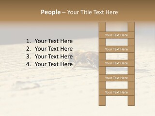 Equipment Industry Part PowerPoint Template