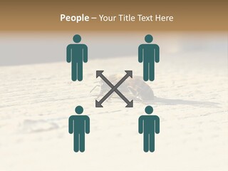 Equipment Industry Part PowerPoint Template