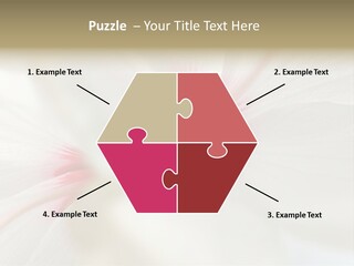 Switch Climate Industry PowerPoint Template