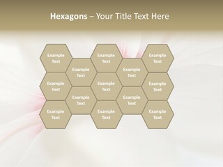 Switch Climate Industry PowerPoint Template
