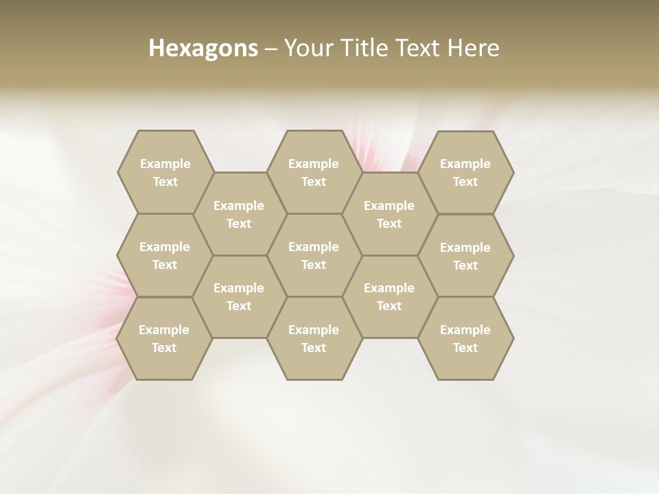 Switch Climate Industry PowerPoint Template