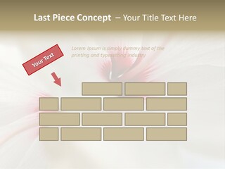 Switch Climate Industry PowerPoint Template